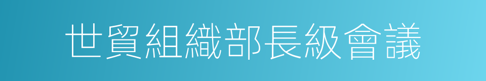 世貿組織部長級會議的同義詞