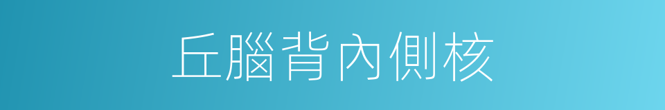 丘腦背內側核的同義詞