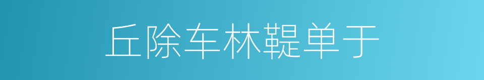 丘除车林鞮单于的同义词