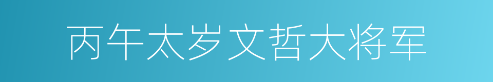 丙午太岁文哲大将军的同义词