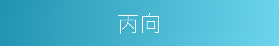丙向的意思