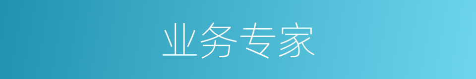 业务专家的同义词