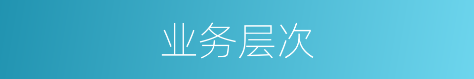 业务层次的同义词