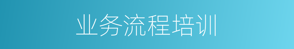 业务流程培训的同义词