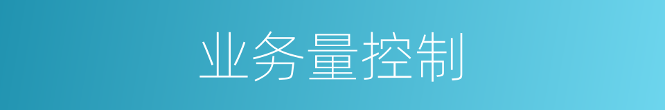 业务量控制的同义词