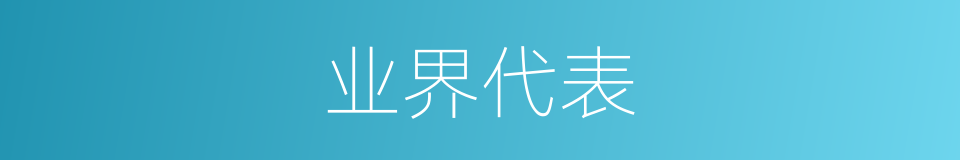 业界代表的同义词
