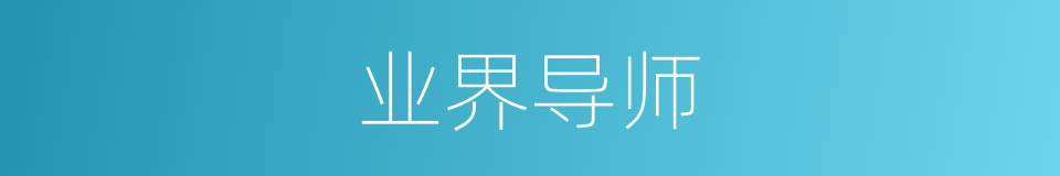 业界导师的同义词