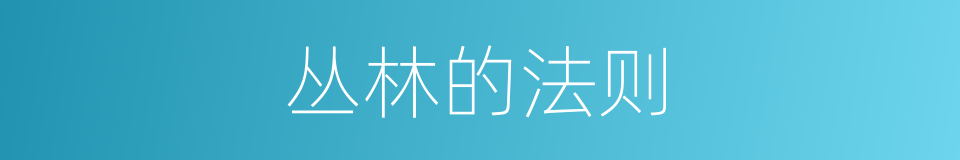 丛林的法则的同义词