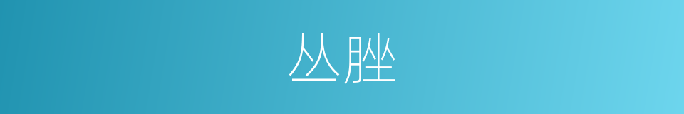 丛脞的意思