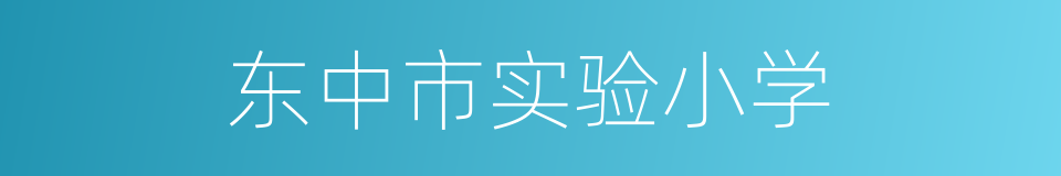 东中市实验小学的同义词