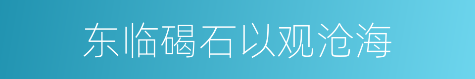 东临碣石以观沧海的同义词