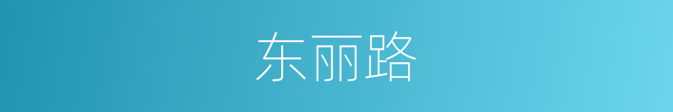 东丽路的同义词