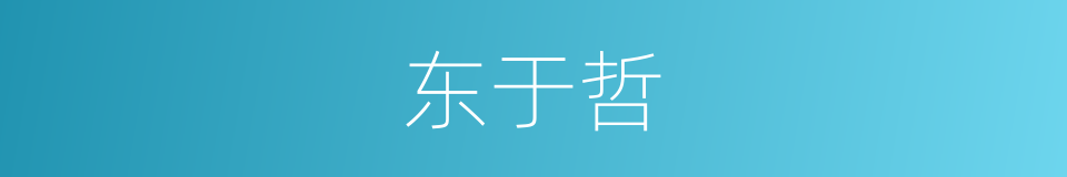 东于哲的同义词