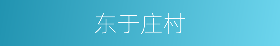 东于庄村的同义词