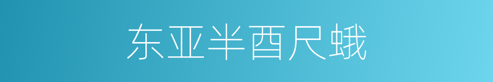 东亚半酉尺蛾的同义词