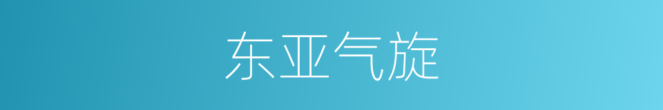 东亚气旋的同义词