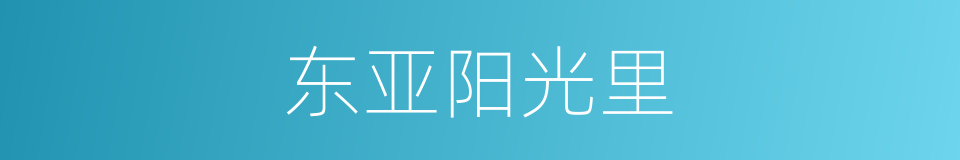 东亚阳光里的同义词