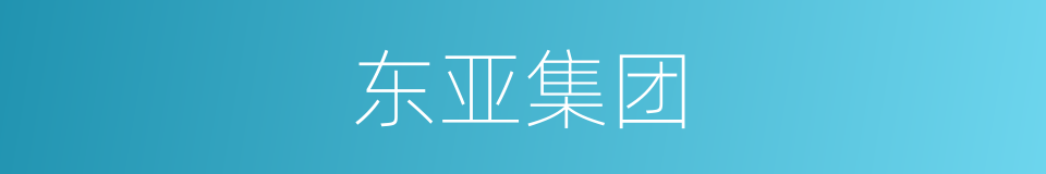 东亚集团的同义词