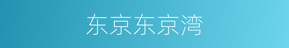 东京东京湾的同义词