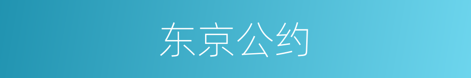 东京公约的同义词