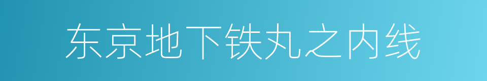 东京地下铁丸之内线的同义词