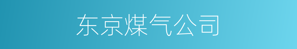 东京煤气公司的同义词