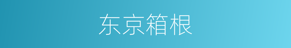 东京箱根的同义词