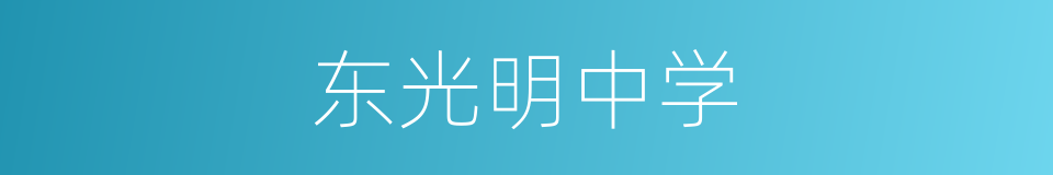 东光明中学的同义词