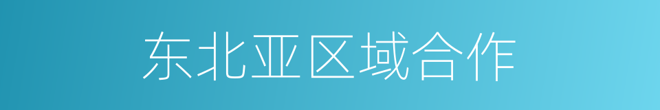 东北亚区域合作的同义词