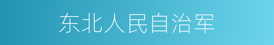 东北人民自治军的同义词