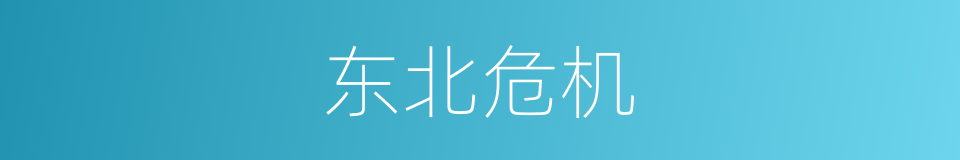 东北危机的同义词