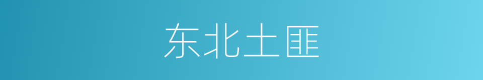 东北土匪的同义词