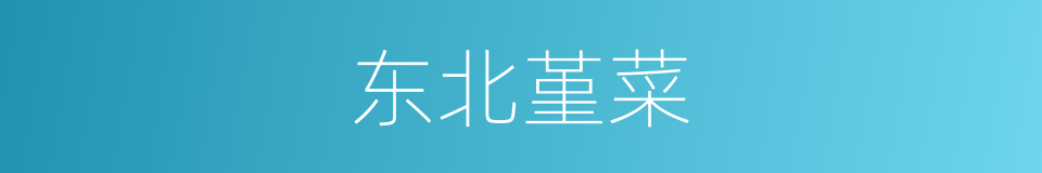 东北堇菜的同义词
