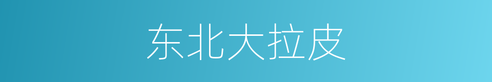 东北大拉皮的同义词