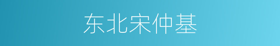 东北宋仲基的同义词