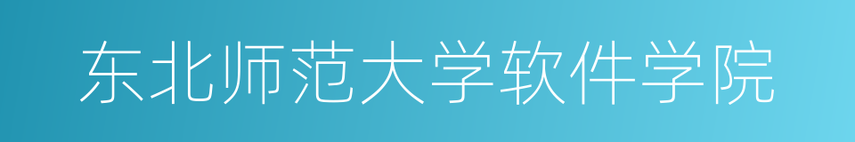 东北师范大学软件学院的同义词