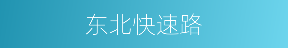 东北快速路的同义词