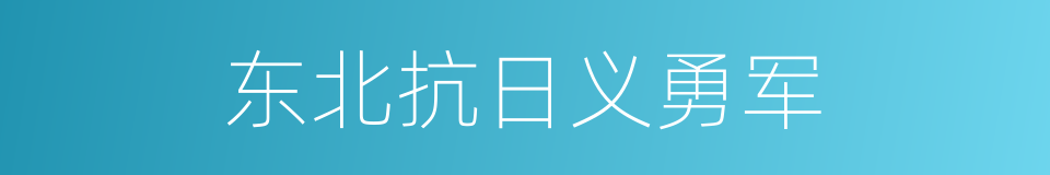 东北抗日义勇军的意思