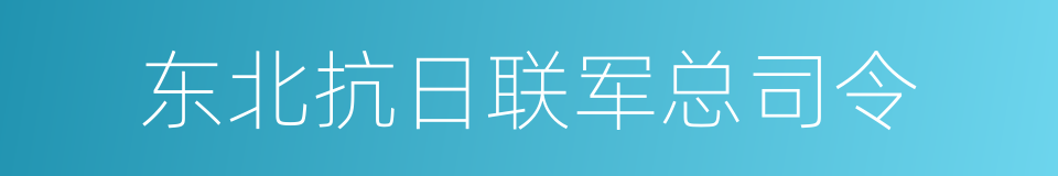 东北抗日联军总司令的同义词