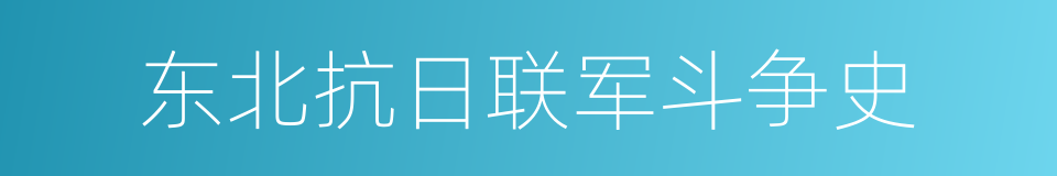 东北抗日联军斗争史的同义词