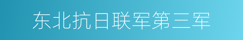 东北抗日联军第三军的意思