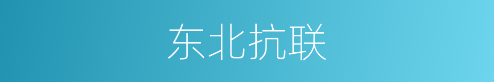 东北抗联的同义词