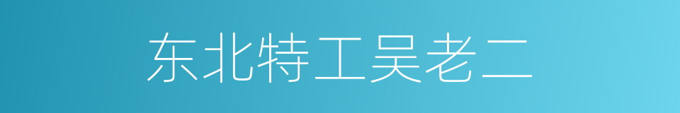 东北特工吴老二的同义词