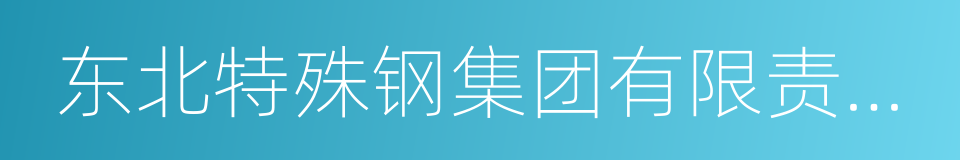 东北特殊钢集团有限责任公司的同义词