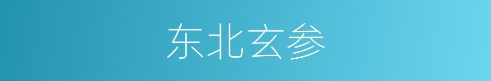 东北玄参的同义词