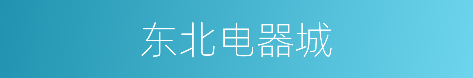 东北电器城的同义词