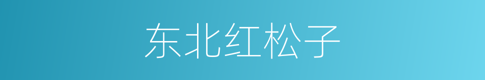 东北红松子的同义词