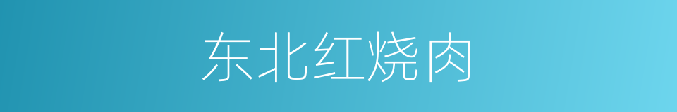 东北红烧肉的同义词