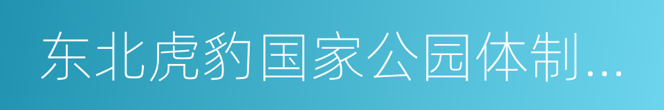 东北虎豹国家公园体制试点方案的同义词