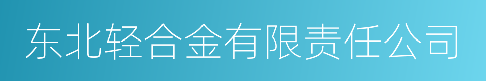 东北轻合金有限责任公司的同义词